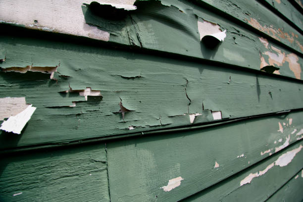 Historical Building Siding Restoration in Long Beach, WA
